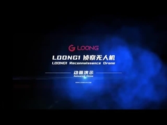 ανιχνευτικό μη επανδρωμένο